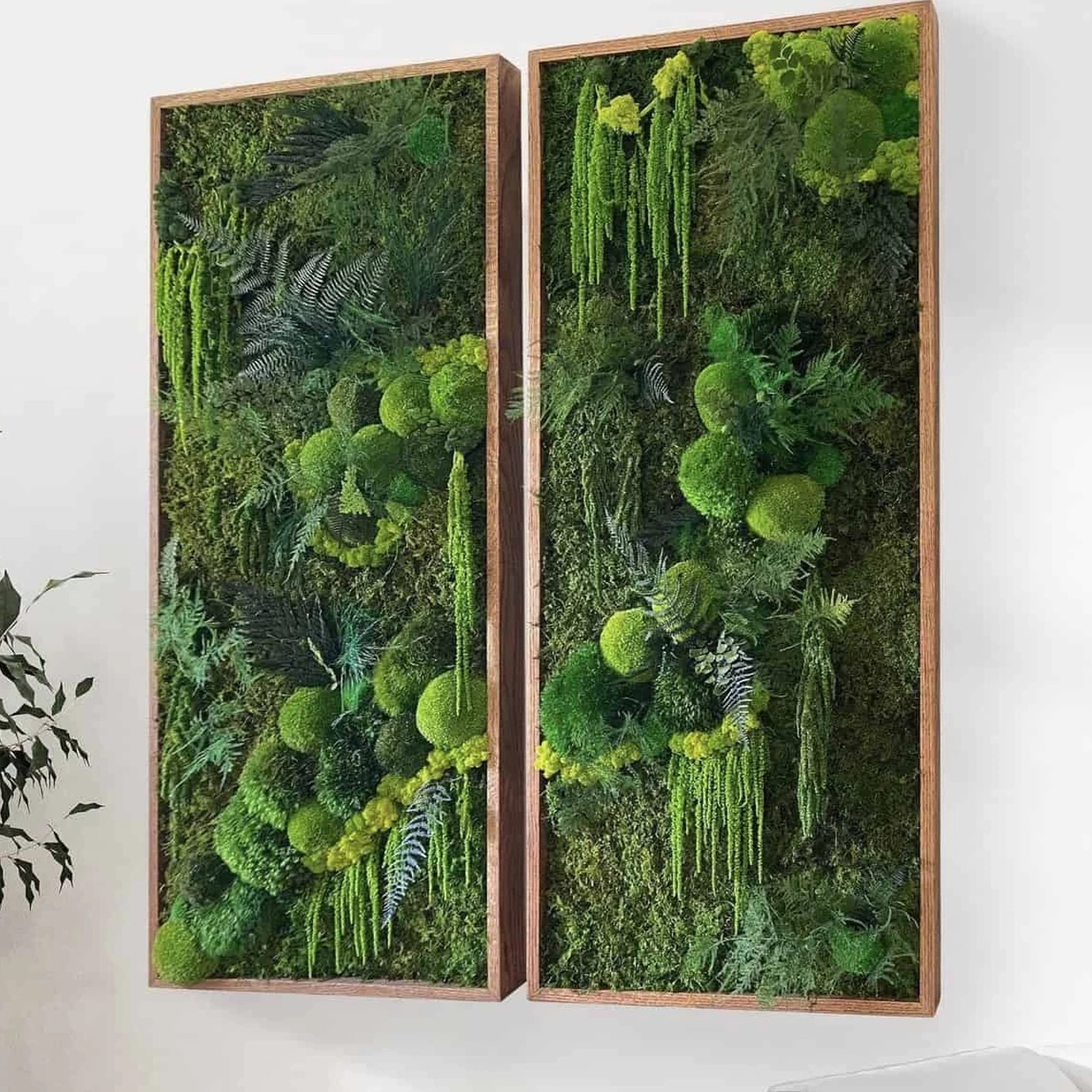 Moss Wall Art - Hanging Forest gallery detail image