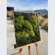 Moss Art by Gaea gallery detail image