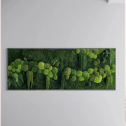 Moss Wall Art - Hanging Forest gallery detail image