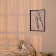 Pilchard Pair - Limited Edition Print gallery detail image