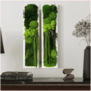 Moss Wall Art - StepForest gallery detail image