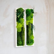 Moss Wall Art - StepForest gallery detail image