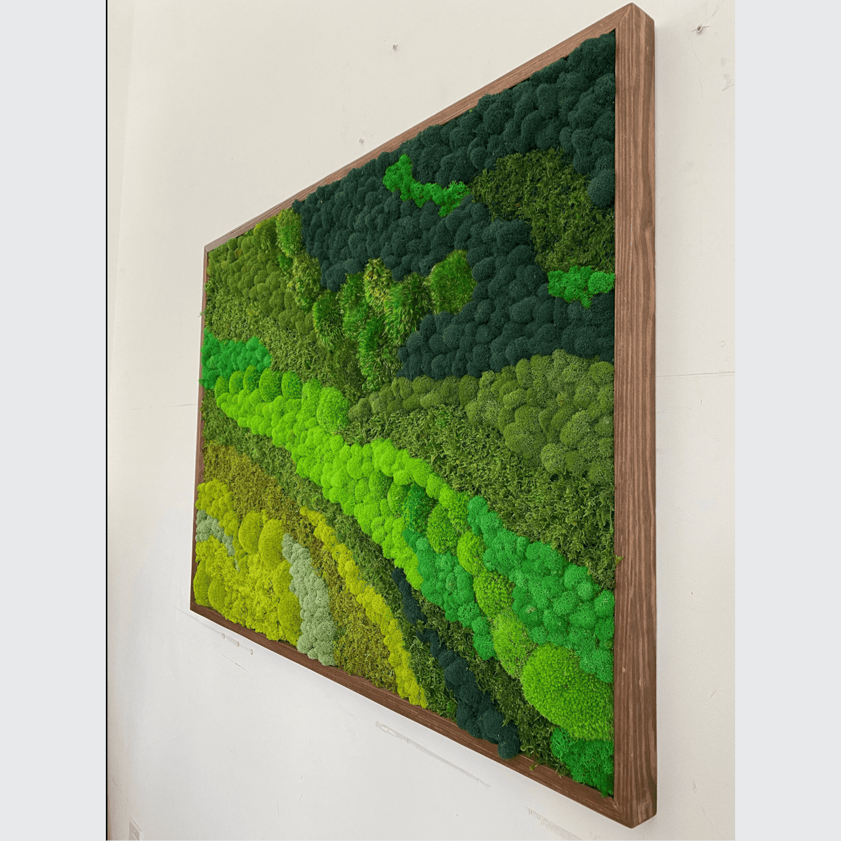 Moss Wall Art - Rolling Hills gallery detail image