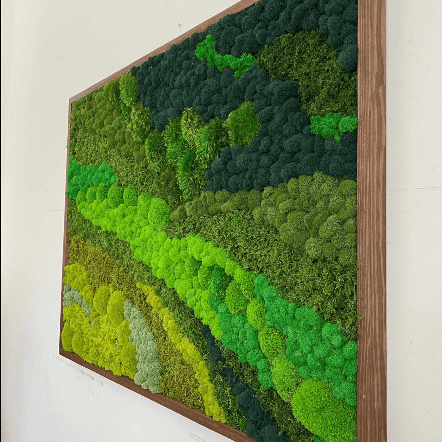 Moss Wall Art - Rolling Hills gallery detail image