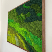 Moss Wall Art - Rolling Hills gallery detail image