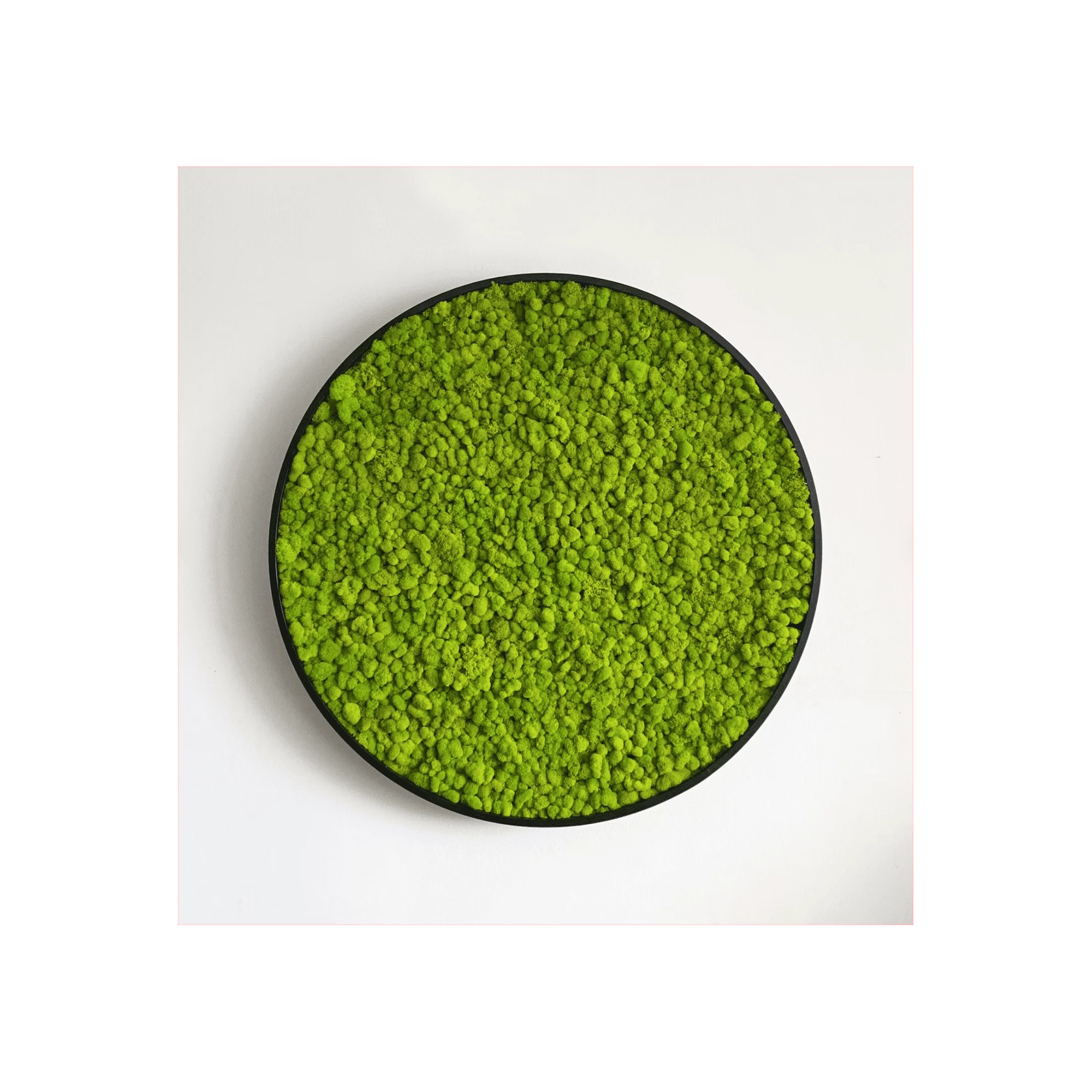Round Moss Wall Art - Solo Reindeer gallery detail image