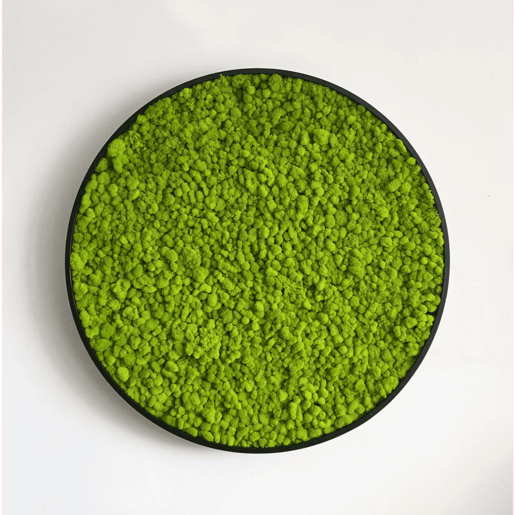 Round Moss Wall Art - Solo Reindeer gallery detail image