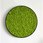Round Moss Wall Art - Solo Reindeer gallery detail image
