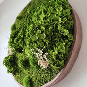 Round Moss Wall Art - Horten gallery detail image