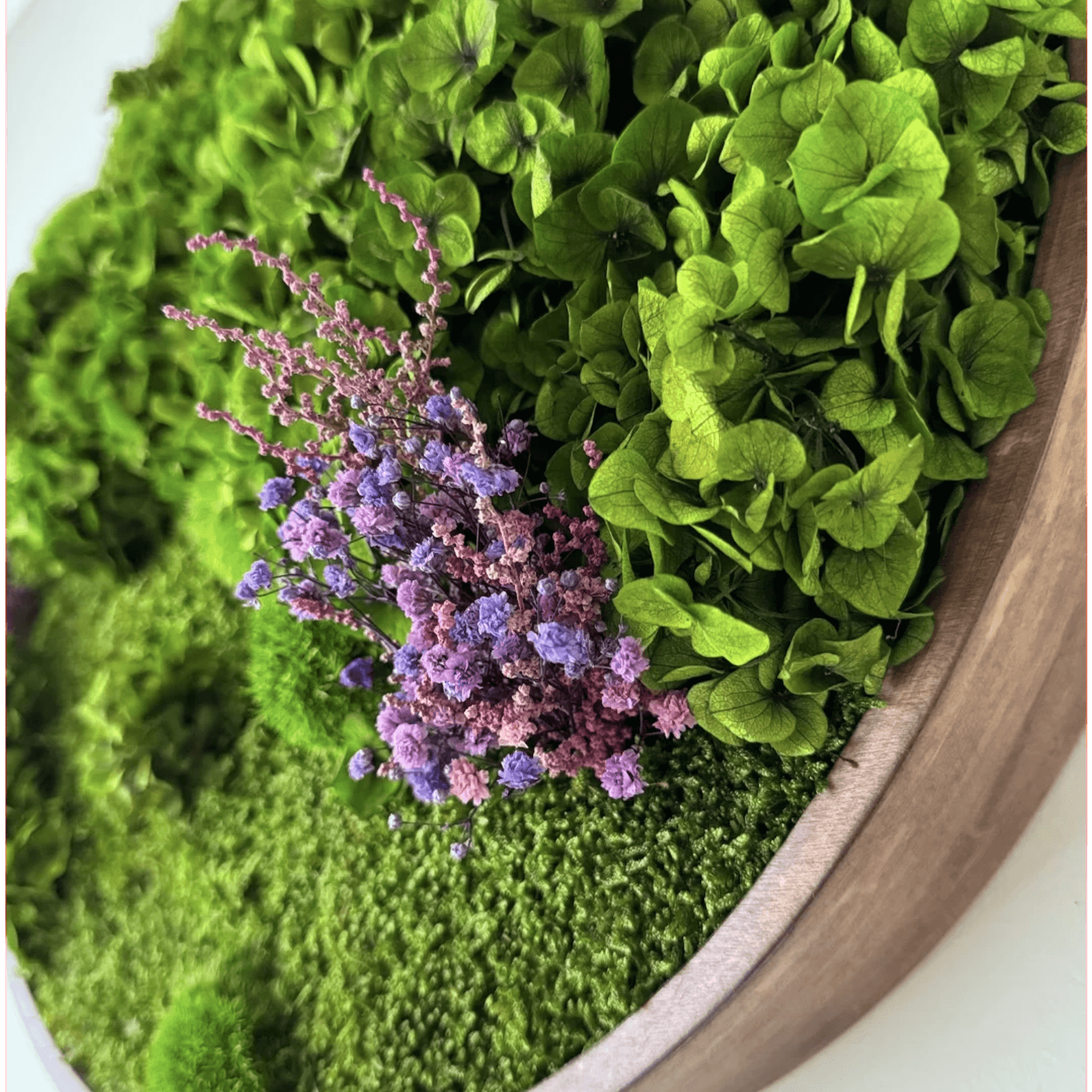 Round Moss Wall Art - Horten gallery detail image