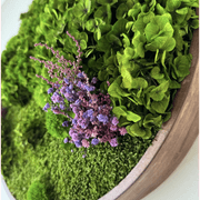 Round Moss Wall Art - Horten gallery detail image