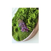 Round Moss Wall Art - Horten gallery detail image