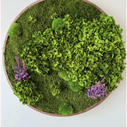 Round Moss Wall Art - Horten gallery detail image