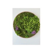 Round Moss Wall Art - Horten gallery detail image