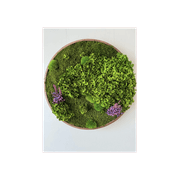 Round Moss Wall Art - Horten gallery detail image