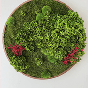 Round Moss Wall Art - Horten gallery detail image