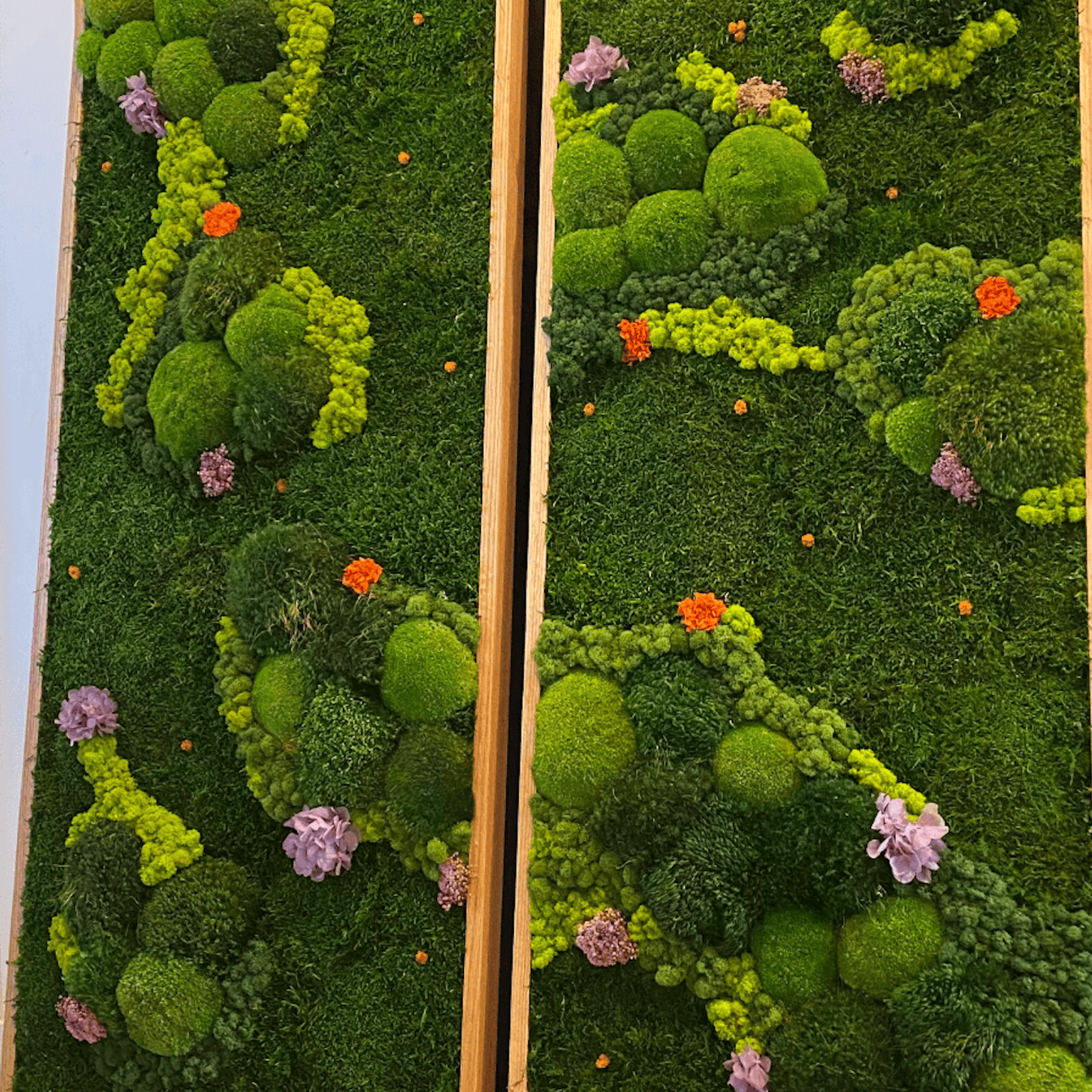 Moss Wall Art - Lavender Hills gallery detail image