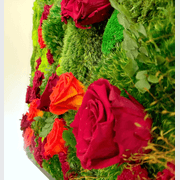 Moss Wall Art - Jardín De Rosas gallery detail image