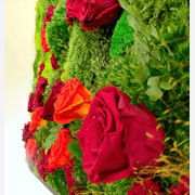 Moss Wall Art - Jardín De Rosas gallery detail image