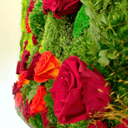 Moss Wall Art - Jardín De Rosas gallery detail image