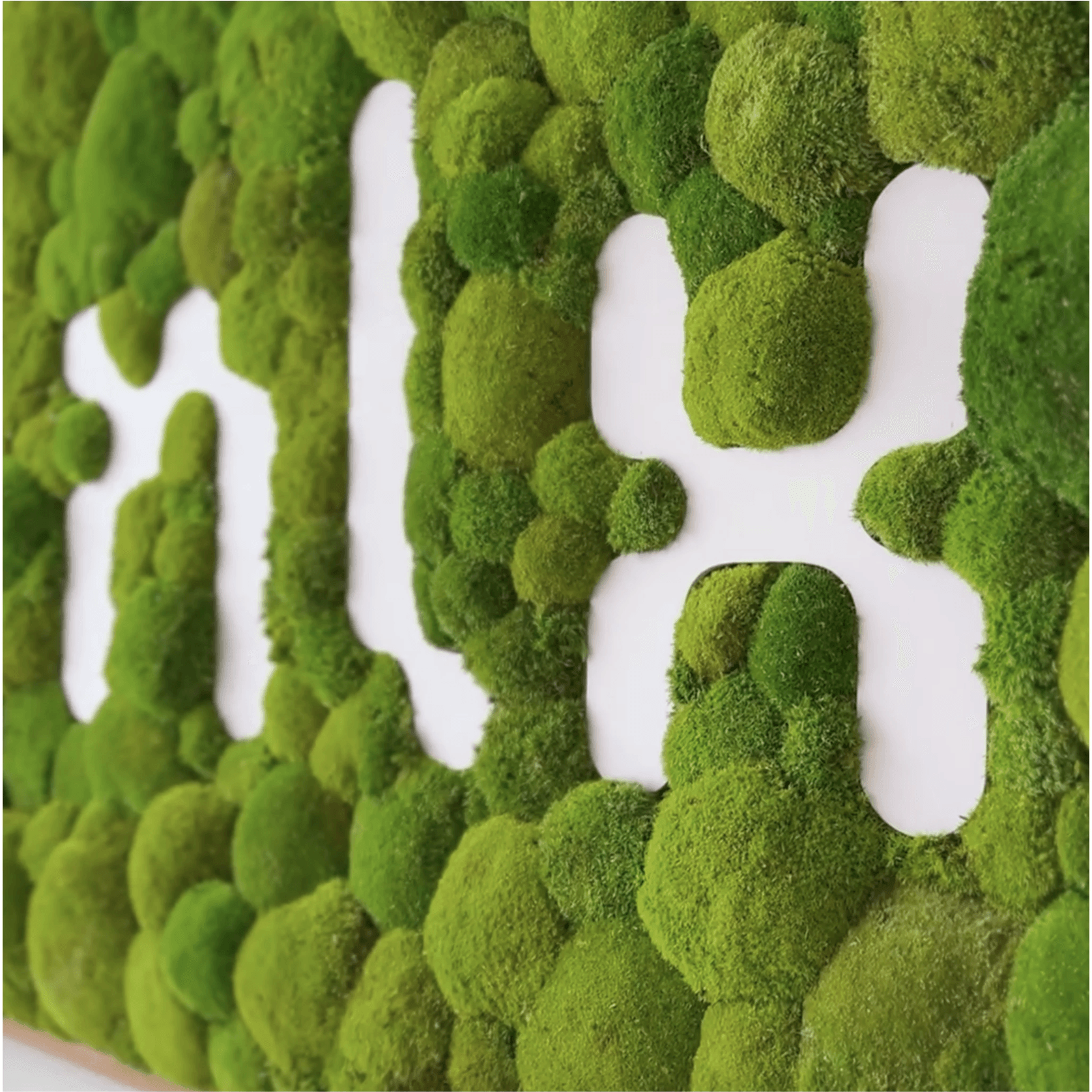 Moss Wall Art - Custom Business Logo/Signage gallery detail image