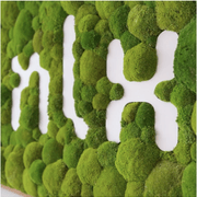 Moss Wall Art - Custom Business Logo/Signage gallery detail image