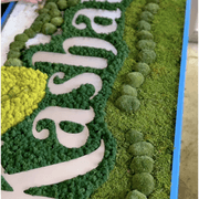 Moss Wall Art - Custom Business Logo/Signage gallery detail image