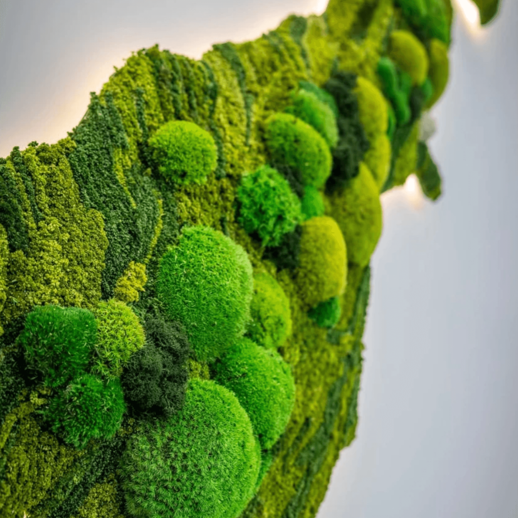 Moss Wall Art - Custom Business Logo/Signage gallery detail image