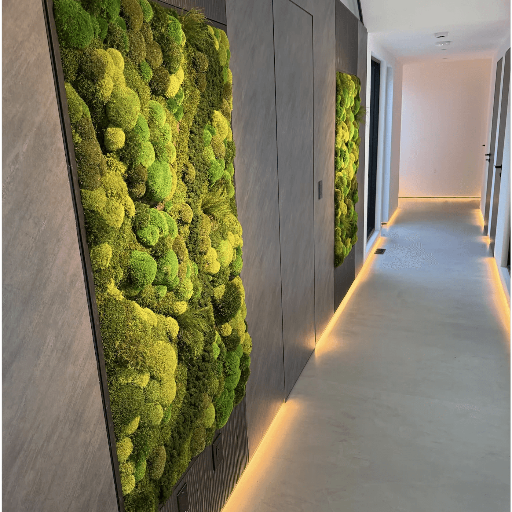 Moss Wall Art - Corteza gallery detail image