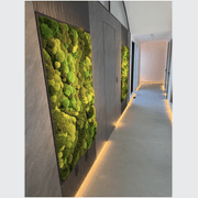 Moss Wall Art - Corteza gallery detail image