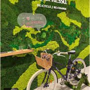 Moss Wall Art - Custom Business Logo/Signage gallery detail image