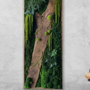 Moss Wall Art - Live Edge Wood gallery detail image