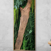 Moss Wall Art - Live Edge Wood gallery detail image