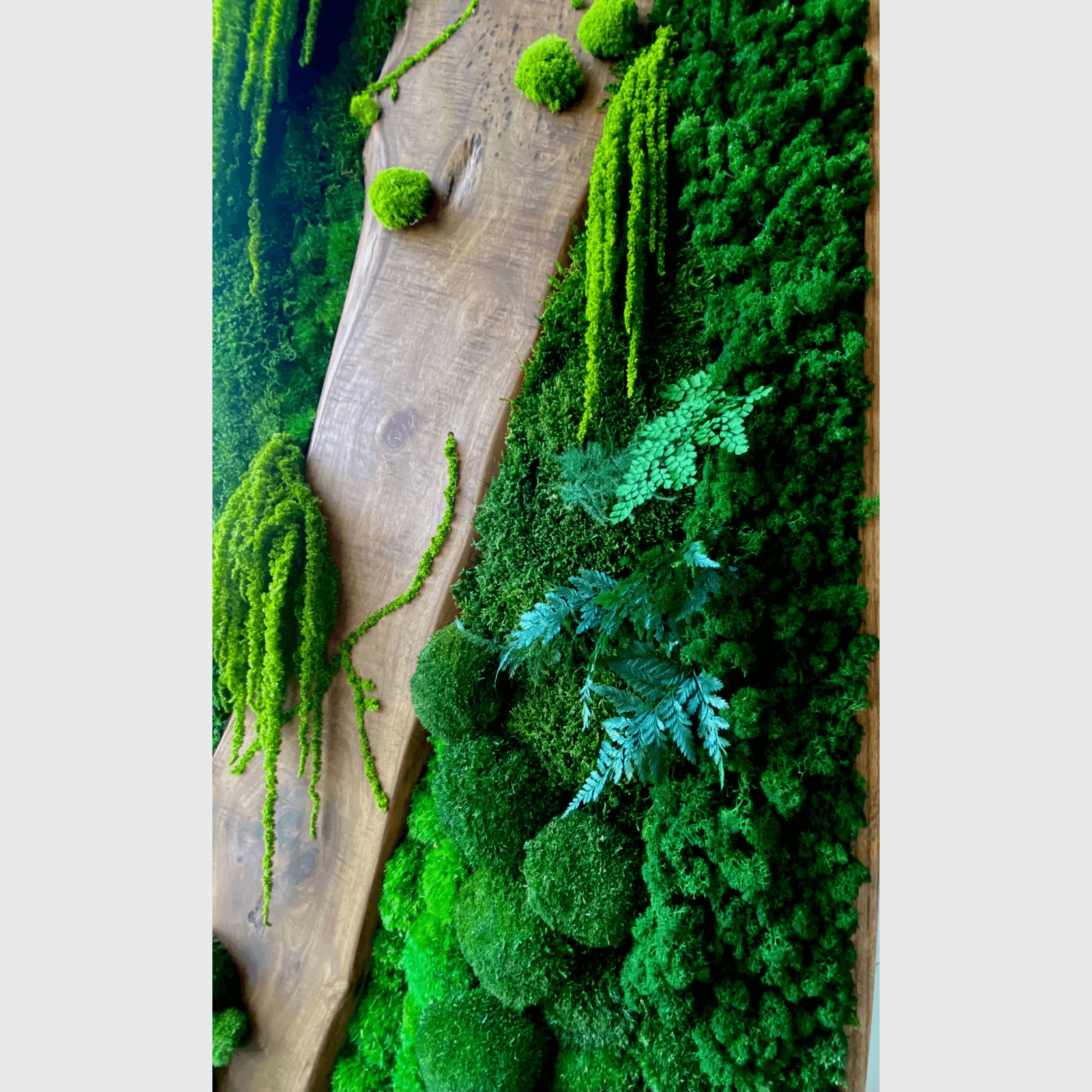 Moss Wall Art - Live Edge Wood gallery detail image