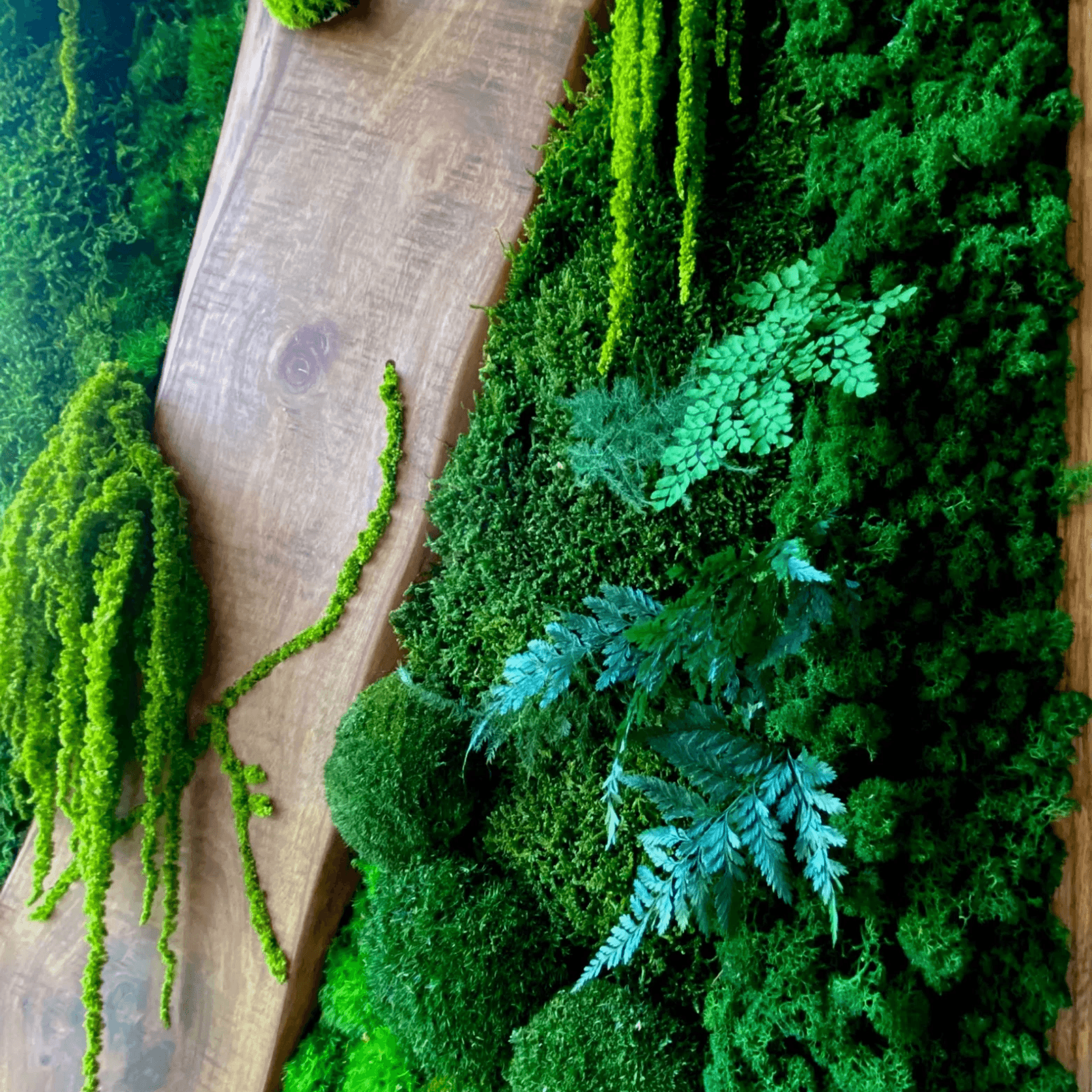 Moss Wall Art - Live Edge Wood gallery detail image