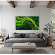 Moss Wall Art - Pacifico gallery detail image