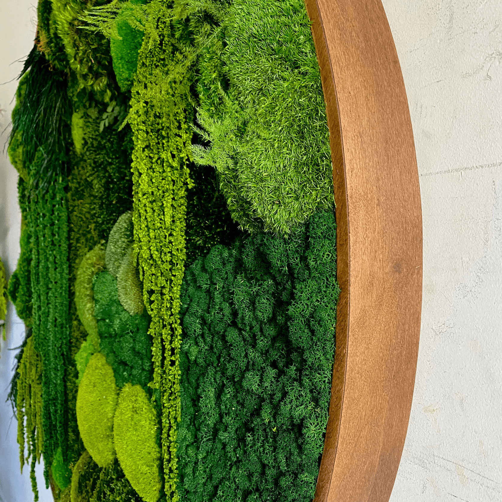 Round Moss Wall Art - L Forest gallery detail image