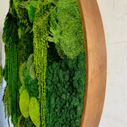 Round Moss Wall Art - L Forest gallery detail image