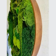 Round Moss Wall Art - L Forest gallery detail image