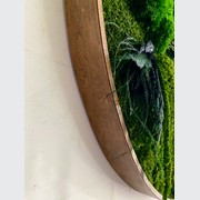 Round Moss Wall Art - L Forest gallery detail image