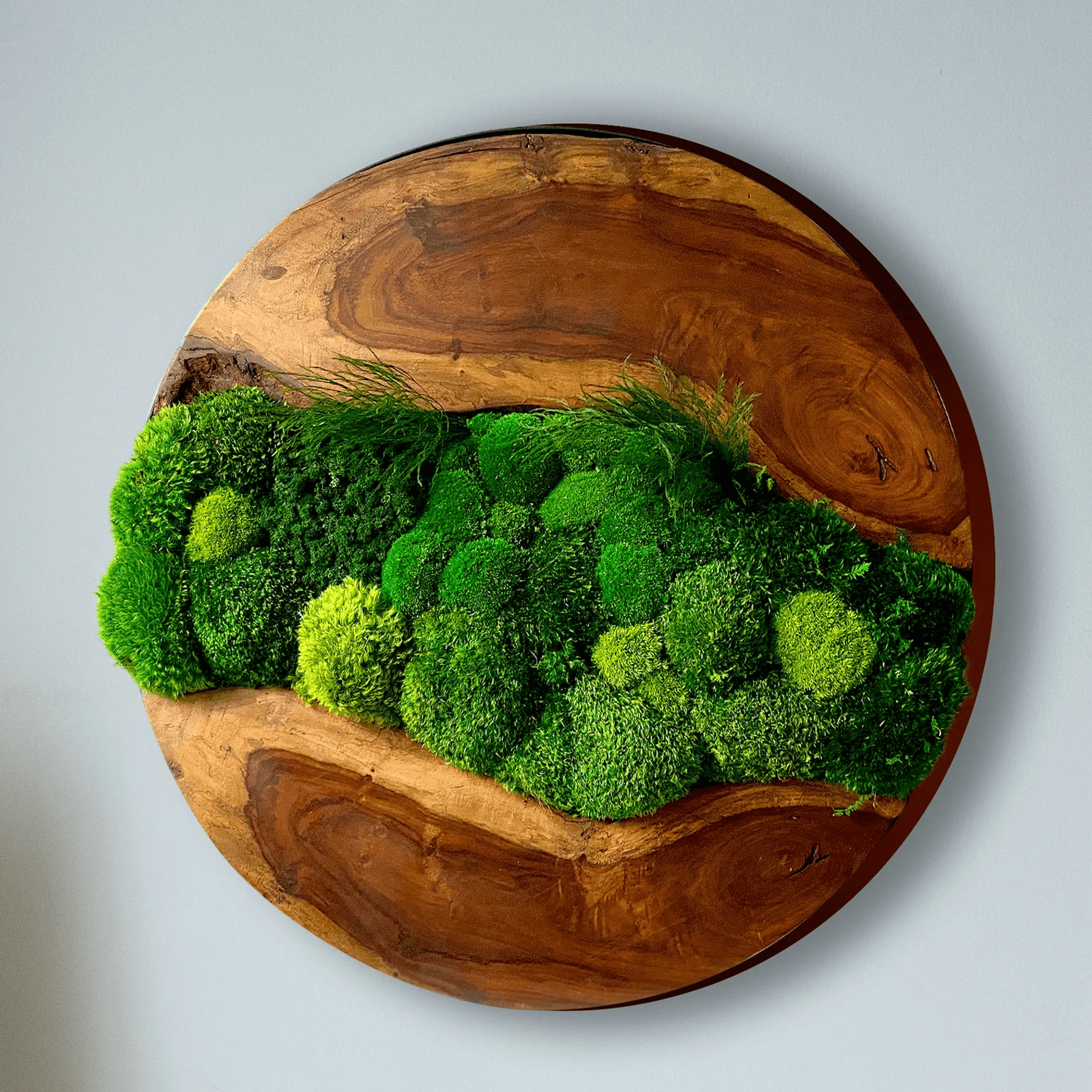 Round Moss Wall Art - Live Edge Wood gallery detail image