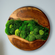 Round Moss Wall Art - Live Edge Wood gallery detail image