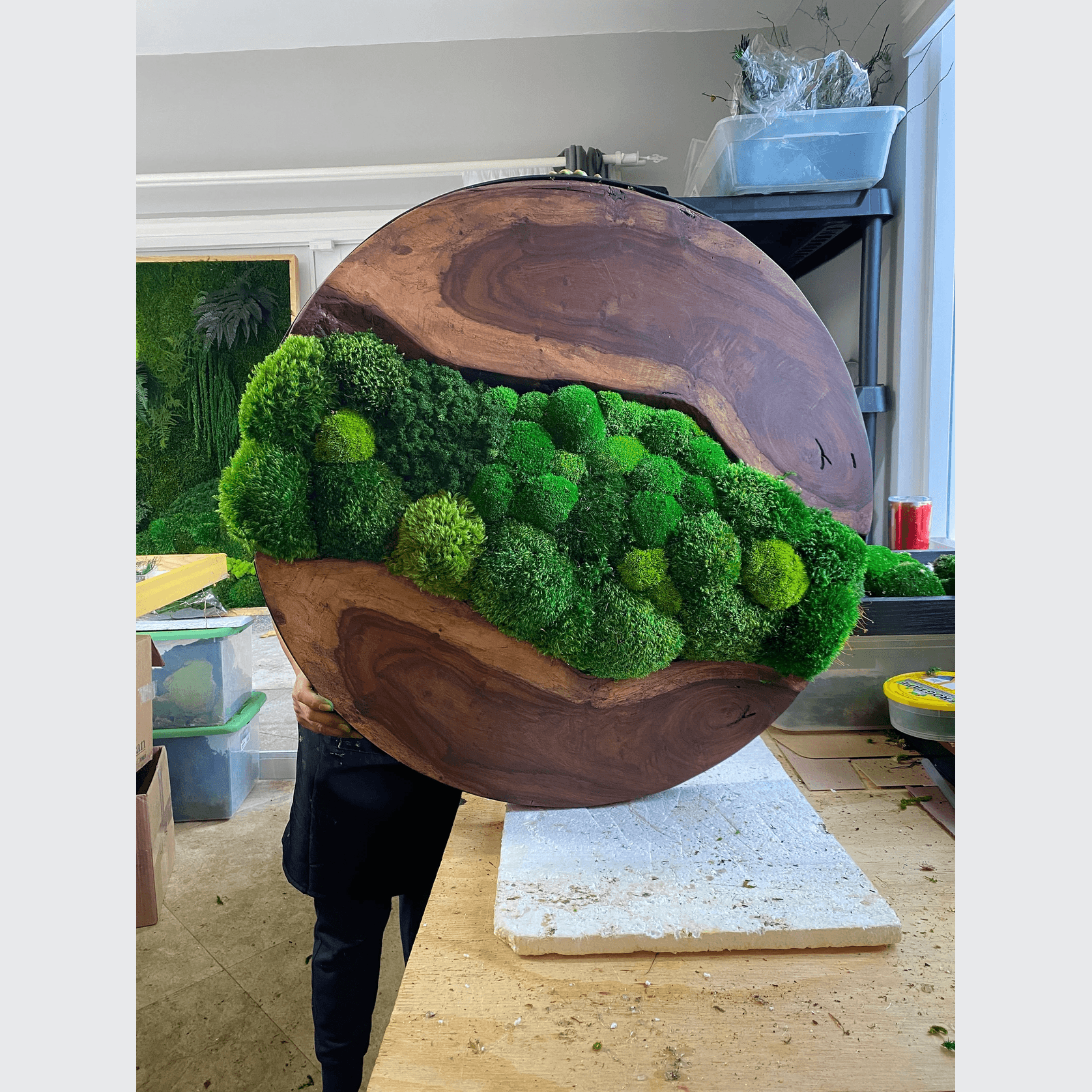 Round Moss Wall Art - Live Edge Wood gallery detail image