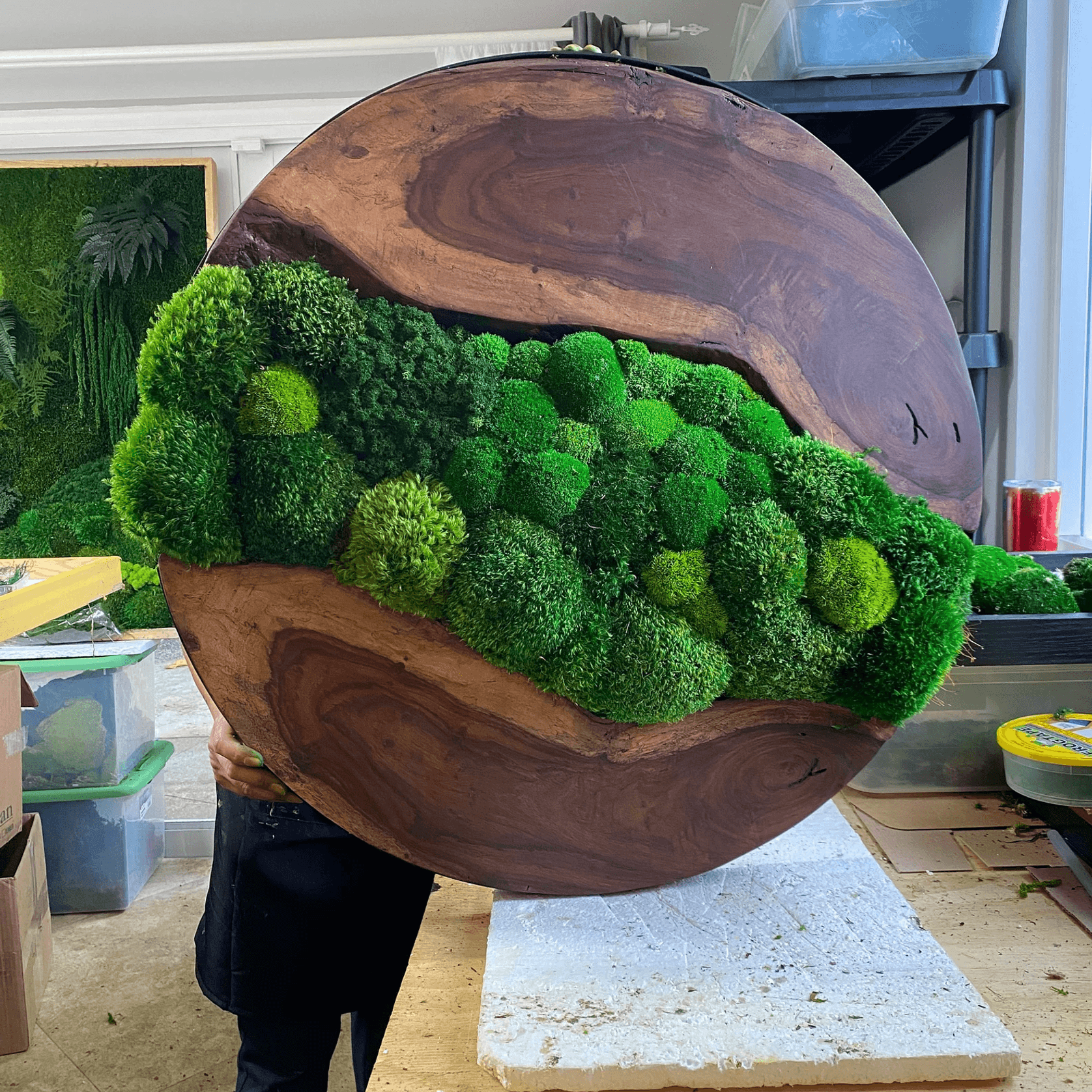 Round Moss Wall Art - Live Edge Wood gallery detail image