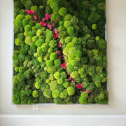 Moss Wall Art - Orchids gallery detail image