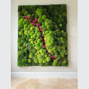 Moss Wall Art - Orchids gallery detail image