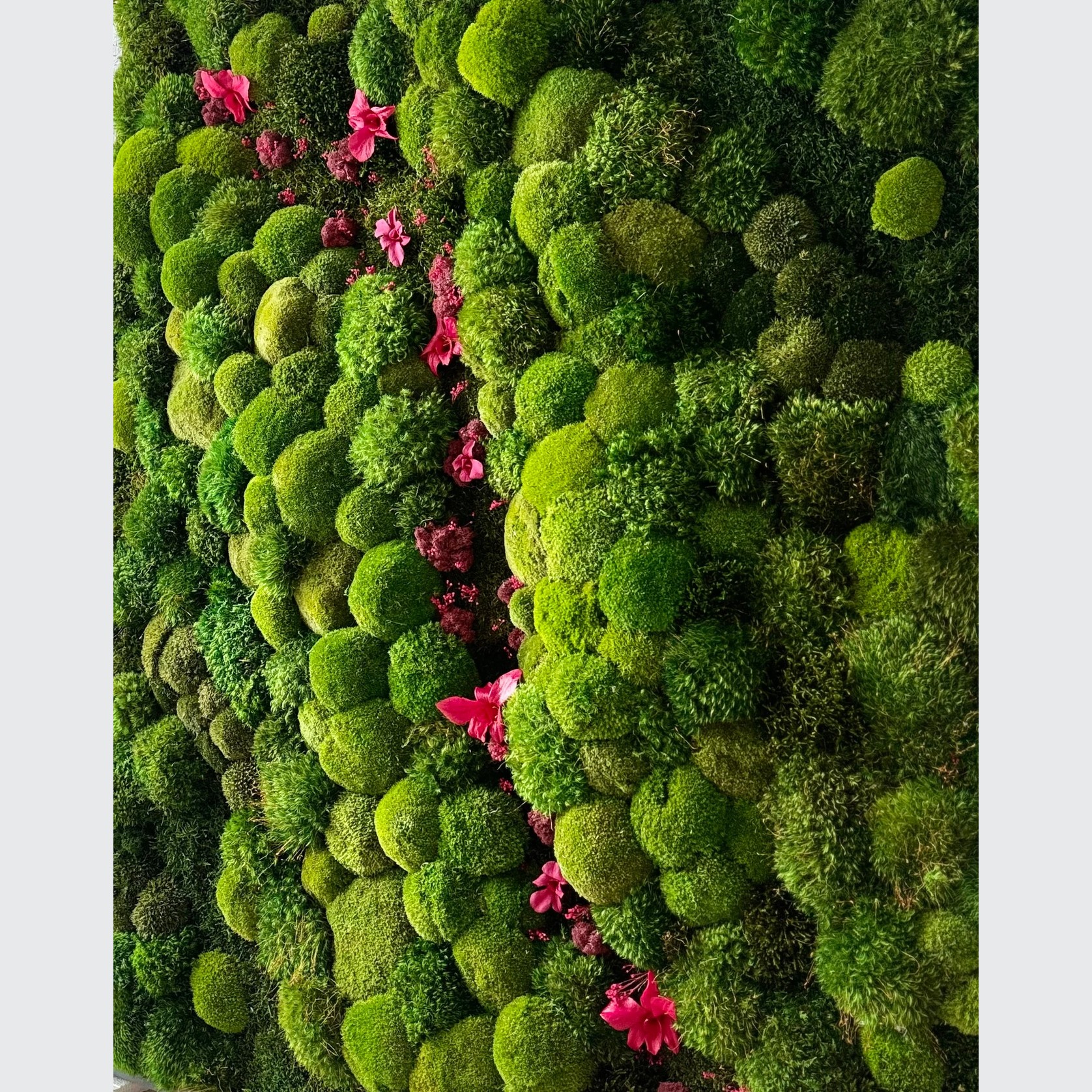 Moss Wall Art - Orchids gallery detail image
