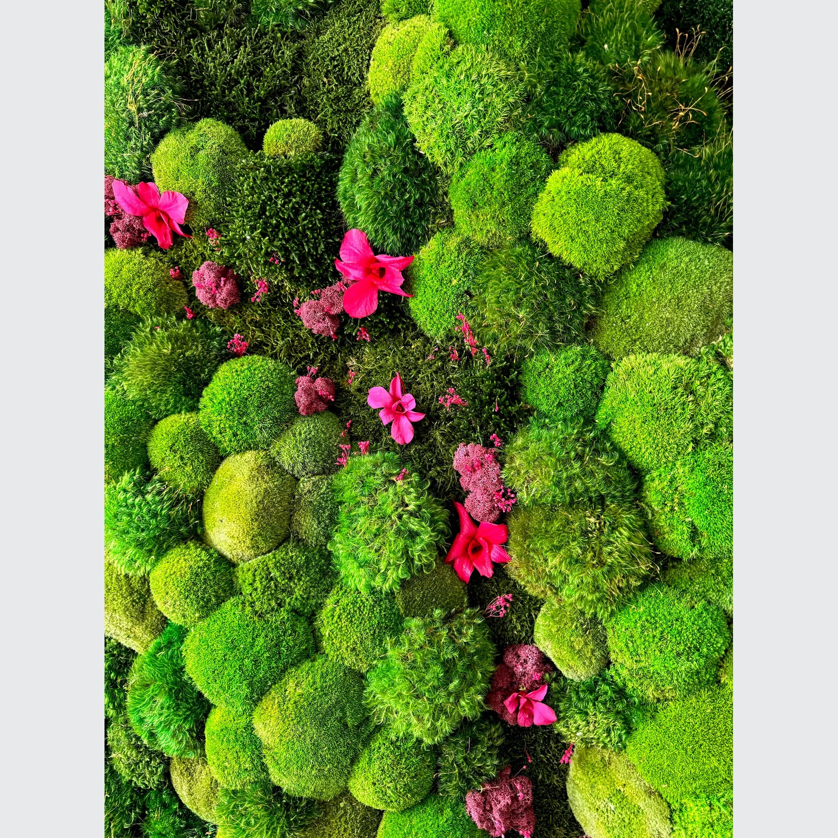 Moss Wall Art - Orchids gallery detail image