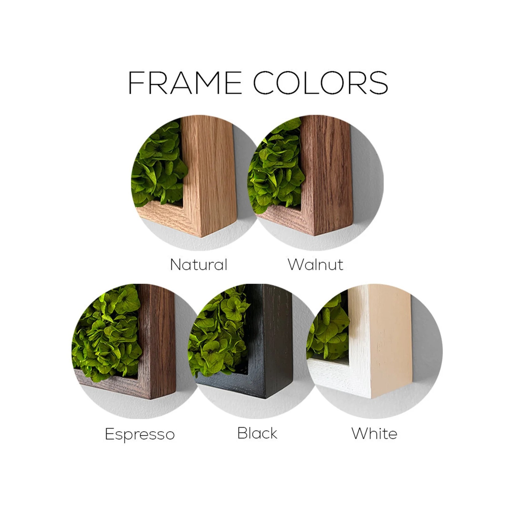 Moss Wall Art - Custom Business Logo/Signage gallery detail image