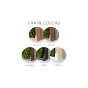 Moss Wall Art - Hanging Forest gallery detail image